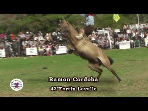 UNA COPLA EN LA LLANURA -  MONTA ESPECIAL - RAMON CORDOBA VS LA FORASTERA
