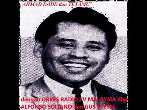 ahmad daud _ aksi kucing