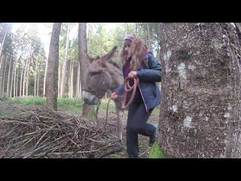 Trekking con Damiano Biscossi e gli asini Briscola e Biscotto