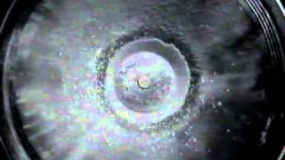 Luxuria - 09 - Smoking Mirror