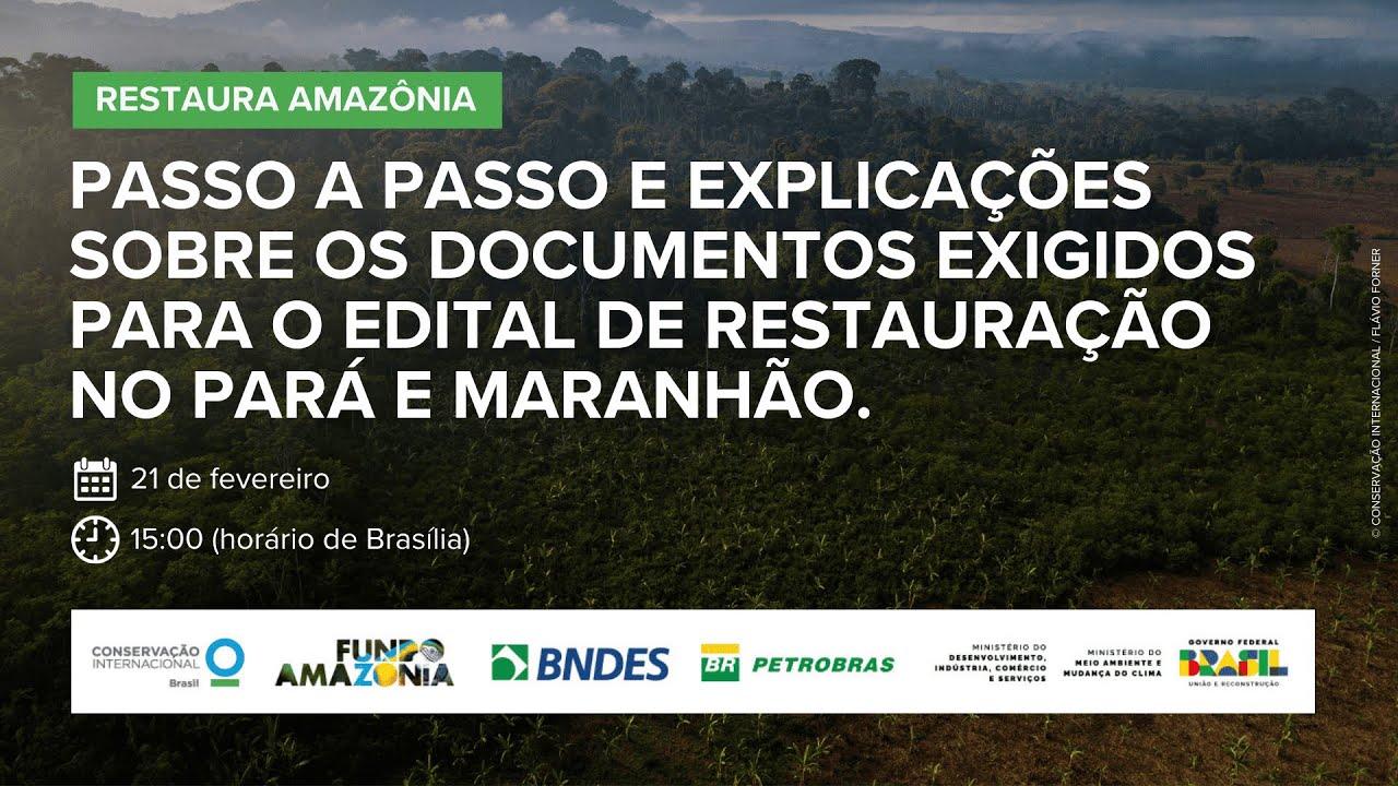 Passo a Passo e Explicações do Edital de Apoio à Restauração no Pará e Maranhão - Restaura Amazônia
