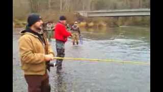 preview picture of video 'Nisqually river chum'