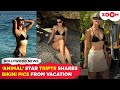 Animal Star Triptii Dimri S HOT Beach Photos In Black Bikini Goes VIRAL