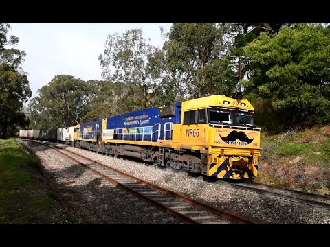 Pacific National 4MP7 NR66 Moustache for Movember NR114 27th July 2022