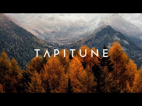 Kyle Meehan x Delta Jack - Needed You