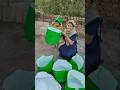 Order Grow Bags Today Shorts Dailyvlogs