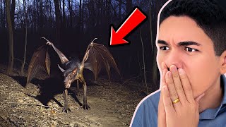 VOCÊ JÁ PRESENCIOU ALGO SOBRENATURAL? Aprenda a Ter Visão Aberta Agora!