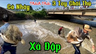 Cá Nhảy Thách Thức 3 Tay Chài Thủ và Cái Kết #chàicá