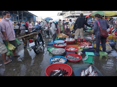Early Morning Fish Market Scene @Prek Phnov Bridge - Daily Life Activities of Vendors Selling Fish