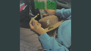 Bush Baby Music Video
