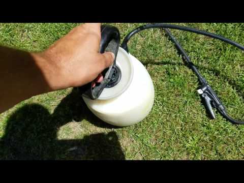 image-How do you protect dogs from ticks?