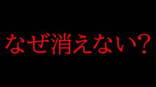 【ポケカ】なぜ転売は何年経ってもなくならないのか？