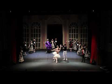 CSBS performs "Swan Lake" with the Russian State Ballet