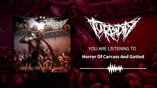 Music video thumbnail preview for Turbidity - Horror Of Carcass And Gutted by Turbidity