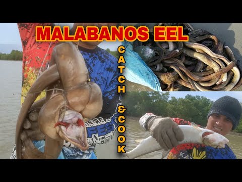 P1- Matinding Hilahan ng Malabanos Masaganang Huli.  Kitang Fishing (Catch & Cook) EP-137
