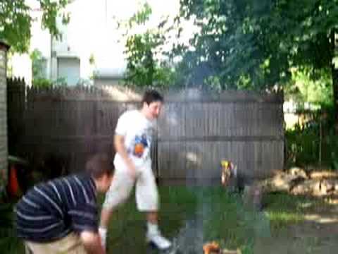 dirt fight continued