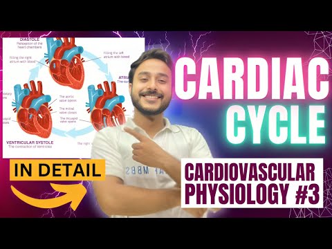 cardiac cycle physiology | physiology of cardiac cycle of heart | phases of cardiac cycle physiology