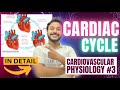 Cardiac Cycle Physiology Physiology Of Cardiac Cycle Of Heart Phases Of Cardiac Cycle Physiology