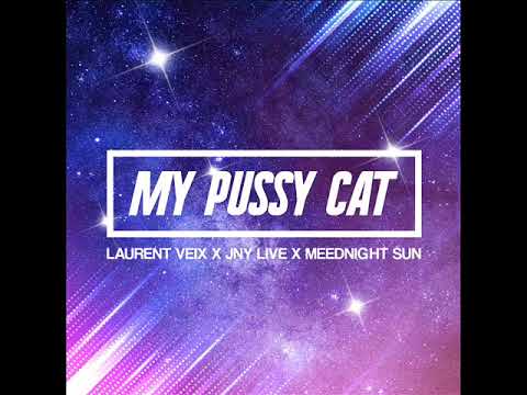 Laurent Veix X Jny Live X Meednight Sun - My Pussy Cat (Orignal Version by Meednight Sun)