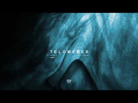 Video thumbnail for Telomeres