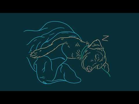 Video thumbnail for Sweet Tooth (Demo)