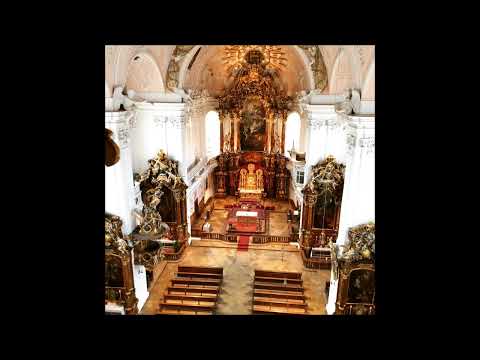 Ihr Freunde Gottes allzugleich (GL 542)