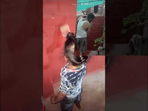 Vertical garden on terrace