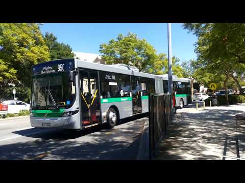 Transperth Volvo B8RLEA (Volgren Optimus) TP3096 Arrives @ Stop 11504