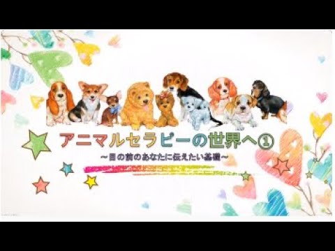 高齢者班　アニマルセラピーの世界へ➀～目の前のあなたに伝えたい基礎～
