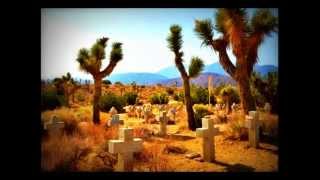 Lost Highway Challenger 1970 Dia ´15