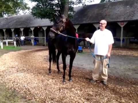 Eblouissante at the Spa