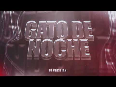 GATO DE NOCHE RKT 😼 🌃 (DILE A TU GATO) - DJ CRISTIAN!