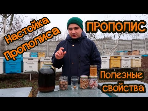 Настойка пчелиного ПОДМОРА (100мл) - фото 6 - id-p1865528591