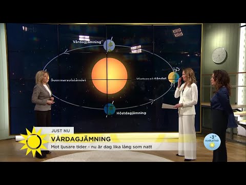 Nu är det mer ljust än mörkt! - Nyhetsmorgon (TV4)