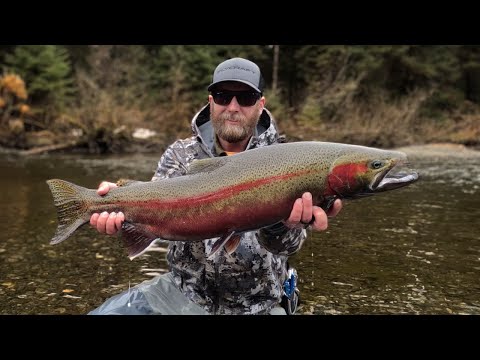 Fishing for big steelhead: Mining Steel