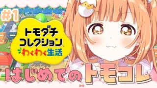 𓊆 トモダチコレクション わくわく生活 𓊇 はじめてのトモコレであそんでみる！！ 𓊆 雲母たまこ ┊ にじさんじ 𓊇