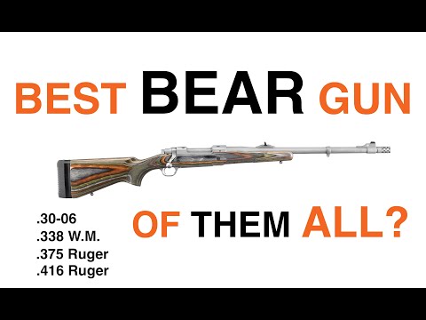 The Best Bear Gun Ever?