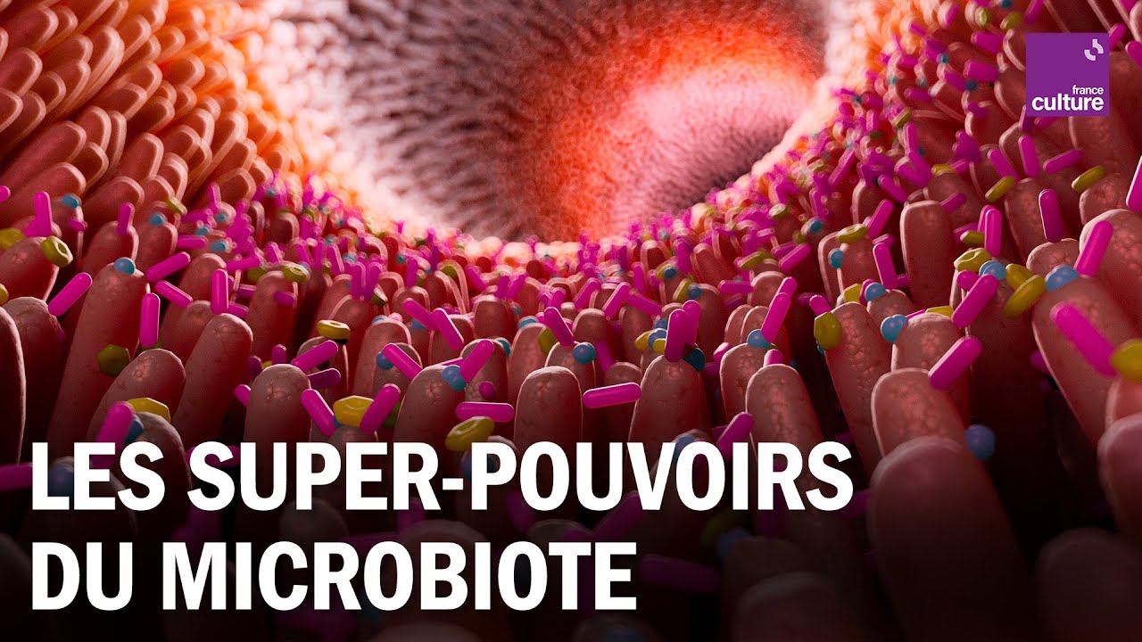 Comment le microbiote agit-il sur notre santé ?