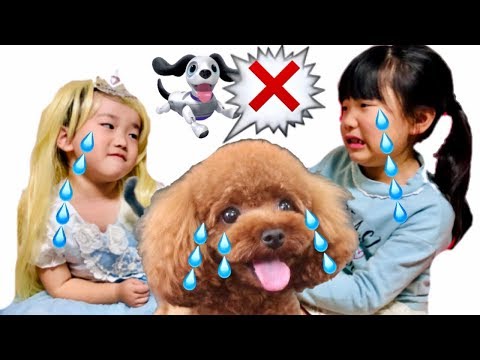 プリンセス姫ごっこ ペット 犬🐶おもちゃの取り合いで姉妹喧嘩😱Build a new home for a dog Princess Land #あっちゃん