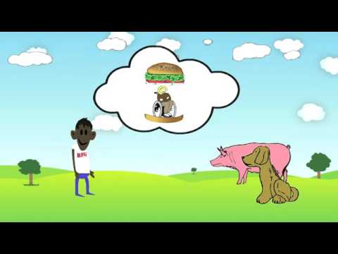 Tierrechte einfach erklaert