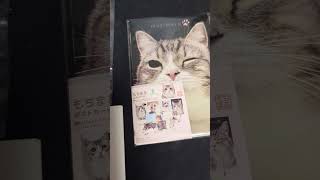 もちまるさんのグッズ出てきた！可愛い🐾