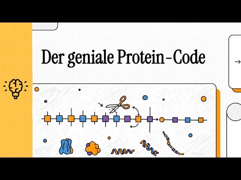RNA-Prozessierung und Spleißen | EINFACH ERKLÄRT