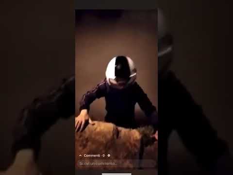 Scommessa fatta a Livorno