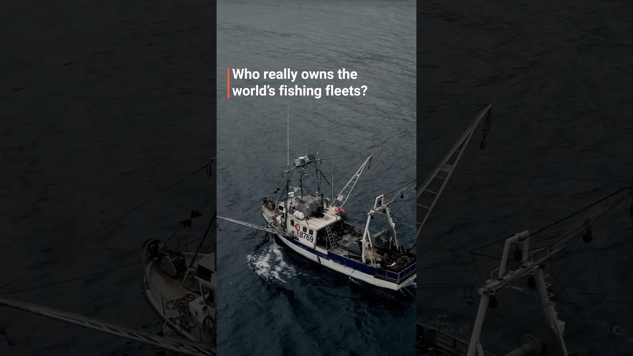 Who really owns the world’s fishing fleets?
