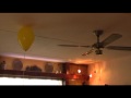 Balloon Alternate Ending