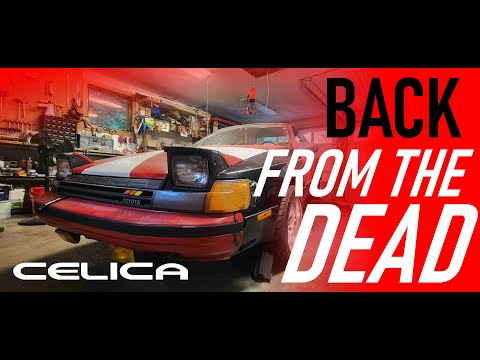 Fixing My ABANDONED Project Car