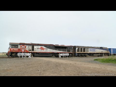 7922V SCT/SBR Dooen Containers With SCT003 & EL60 (16/8/2021) - PoathTV Australian Trains & Railways
