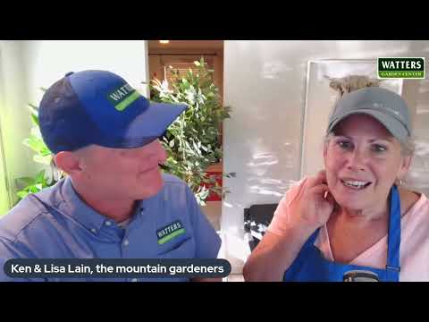 Garden Q & A With Ken & Lisa Lain: Watering Wisdom and More!