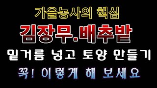 [텃밭농부. 1,194]  김장무 배추밭의 토양은 꼭 이렇게 만드세요 #김장무재배 #김장배추재배