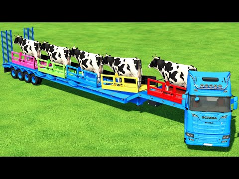 TRANSPORTING GIANT COWS WITH SCANIA TRUCK & LANDINI TRACTORS - Farming Simulator 22